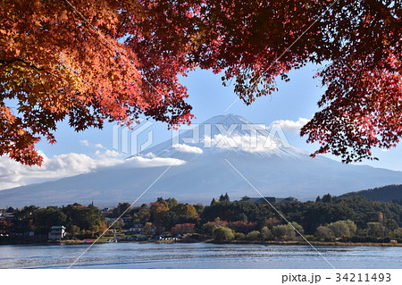 富士山 紅葉 河口湖 富士山 紅葉 河口湖 34211493