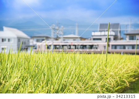 小田急線　特急ロマンスカー　30000形　EXE　開成付近 34213315