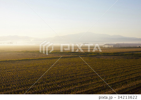 田園風景 34213622