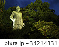 西郷隆盛像・鹿児島県 34214331