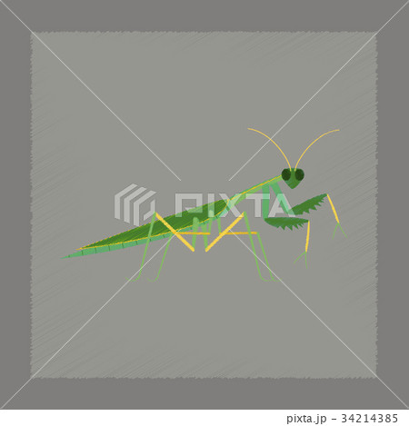 flat shading style illustration Mantis flat shading style illustration Mantis 34214385