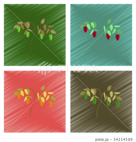 assembly flat shading style illustration plant 34214589