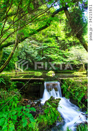 新緑の山吹水源　熊本県　阿蘇郡　産山村 34215851
