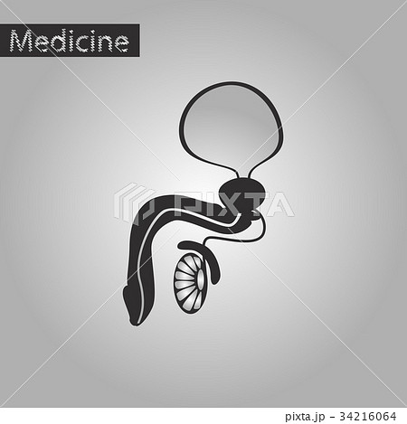 black and white style icon of Male Reproductive 34216064