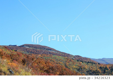 鳥海ブルーライン3合目からの紅葉の風景 鳥海ブルーライン3合目からの紅葉の風景 34216323