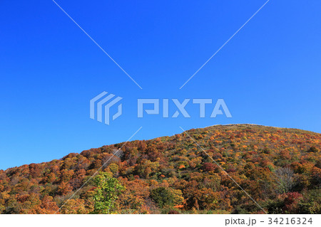 鳥海ブルーライン3合目からの紅葉の風景 34216324
