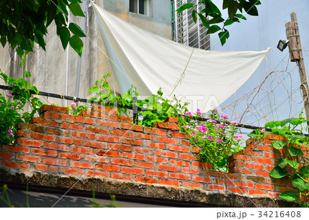 景色 風景 台湾 34216408