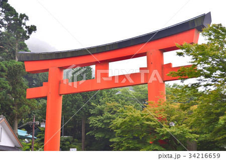 鳥居 34216659