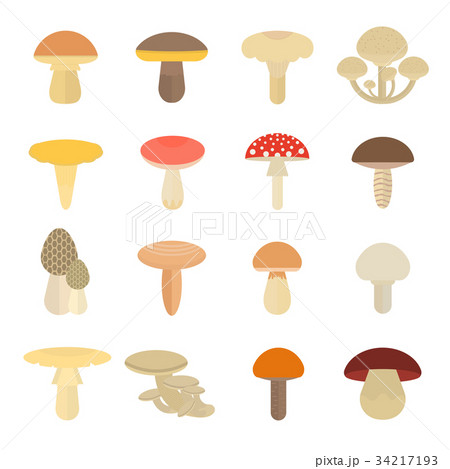Set Vector Illustration of Mushrooms 34217193