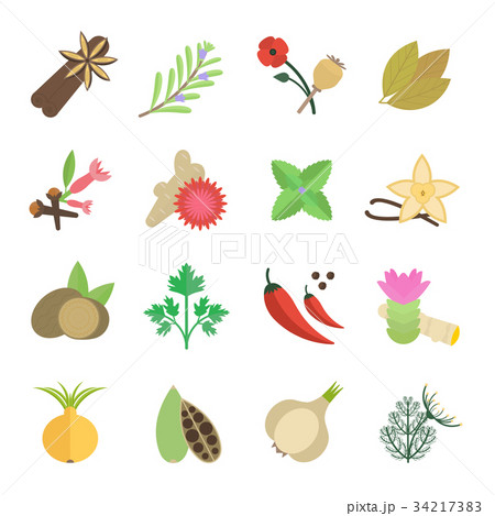 Set Vector Illustration of Spice 34217383