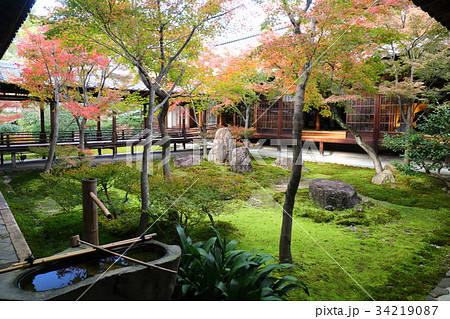 京都　秋の建仁寺 34219087