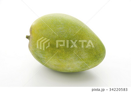 キーツマンゴー 34220583