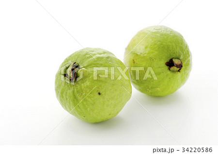 グァバ 34220586