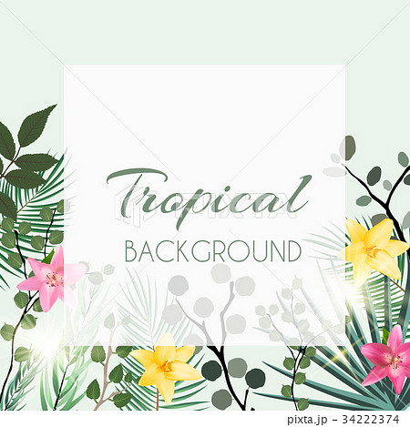 Abstract Natural Tropical Frame Background with 34222374