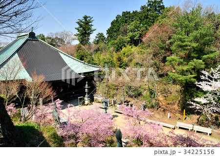 枝垂れ桜の咲く施福寺 34225156