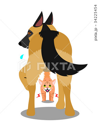 犬を威嚇する猫のイラスト素材 34225454 Pixta