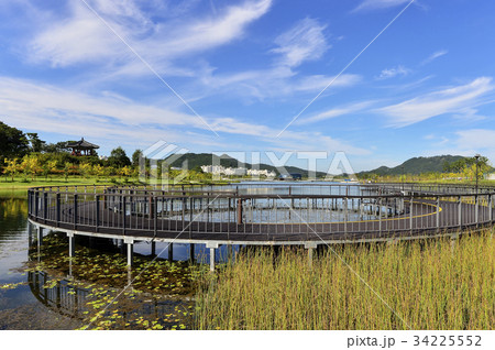 湖 空 韓国 34225552