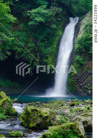 伊豆　浄蓮の滝 34225899