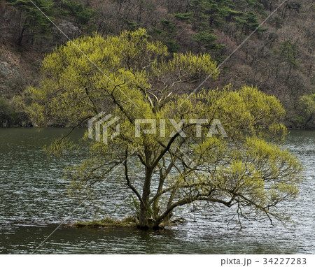 木 貯水池 屋外 34227283