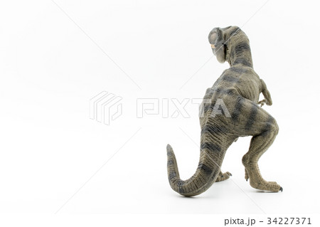 ティラノサウルス:Tyrannosaurus rex (T-rex) ティラノサウルス:Tyrannosaurus rex (T-rex) 34227371