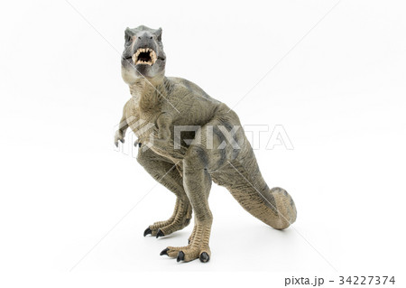 ティラノサウルス:Tyrannosaurus rex (T-rex) ティラノサウルス:Tyrannosaurus rex (T-rex) 34227374