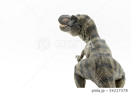 ティラノサウルス：Tyrannosaurus rex (T-rex)の写真素材 [34227379