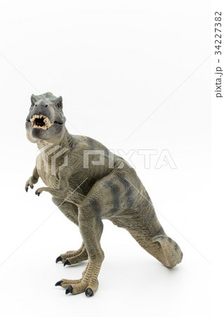 ティラノサウルス：Tyrannosaurus rex (T-rex) 34227382