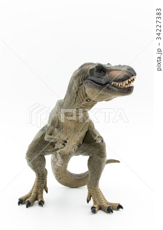 ティラノサウルス：Tyrannosaurus rex (T-rex) 34227383