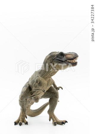 ティラノサウルス：Tyrannosaurus rex (T-rex) 34227384