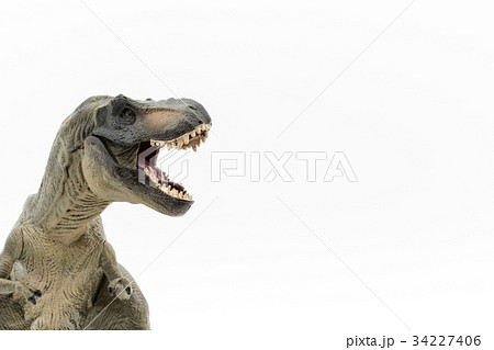 ティラノサウルス：Tyrannosaurus rex (T-rex) 34227406