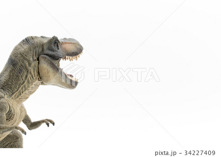 ティラノサウルス:Tyrannosaurus rex (T-rex) ティラノサウルス:Tyrannosaurus rex (T-rex) 34227409