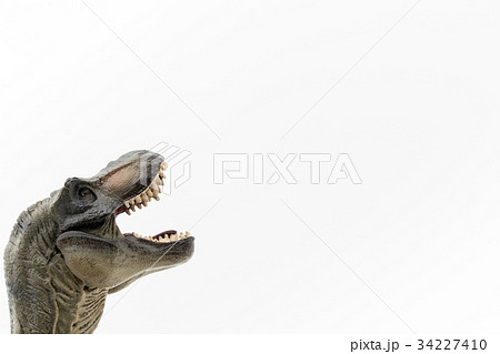 ティラノサウルス：Tyrannosaurus rex (T-rex) 34227410