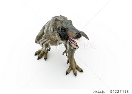 ティラノサウルス：Tyrannosaurus rex (T-rex) 34227418