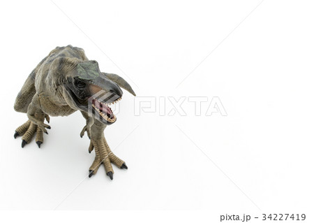 ティラノサウルス：Tyrannosaurus rex (T-rex) 34227419