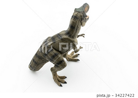 ティラノサウルス:Tyrannosaurus rex (T-rex) ティラノサウルス:Tyrannosaurus rex (T-rex) 34227422