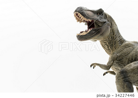 ティラノサウルス：Tyrannosaurus rex (T-rex) 34227446