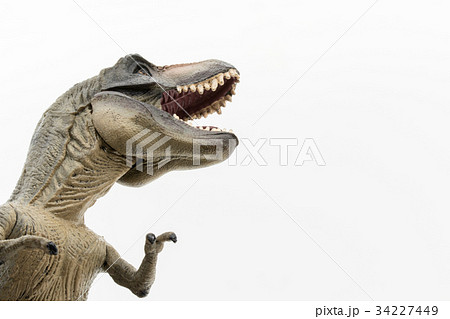 ティラノサウルス：Tyrannosaurus rex (T-rex) 34227449
