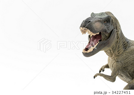 ティラノサウルス:Tyrannosaurus rex (T-rex) ティラノサウルス:Tyrannosaurus rex (T-rex) 34227451