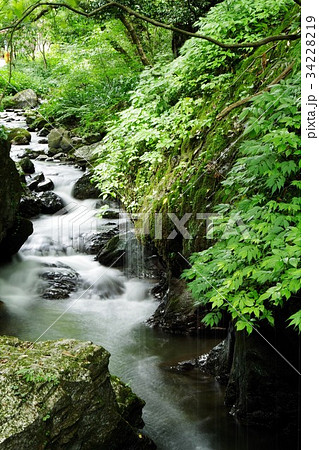 玉垂れの滝 玉垂れの滝 34228219