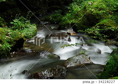 渓流 34228227