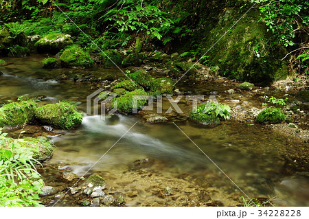 渓流 34228228