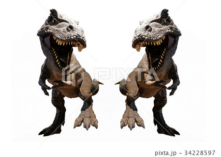 Dinosaur models on white background Dinosaur models on white background 34228597
