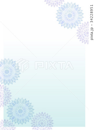 菊はがき01 菊はがき01 34228951