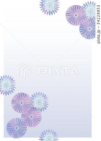 菊はがき03 菊はがき03 34228953