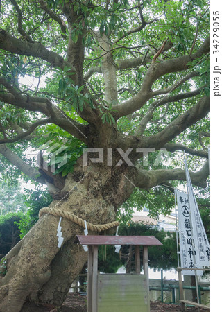 龍口明神社 34229056