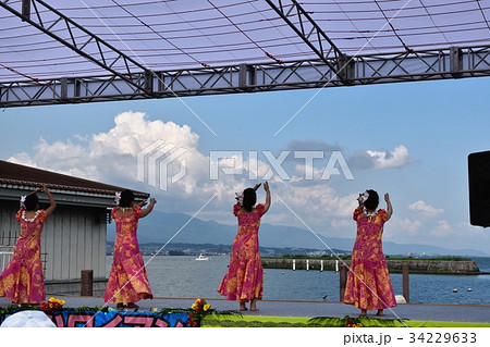 フラダンス 34229633