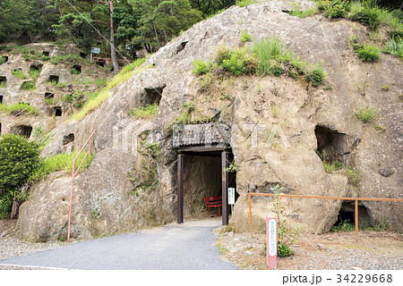 吉見百穴　国指定史跡　埼玉県比企郡 34229668