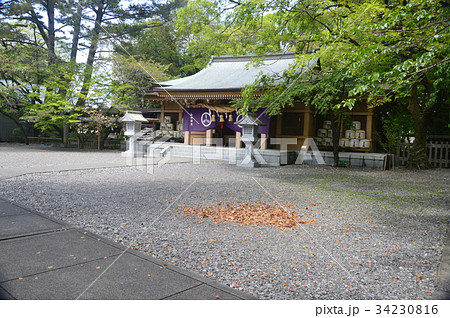 山内神社（高知県高知市鷹匠町2-4-65） 34230816