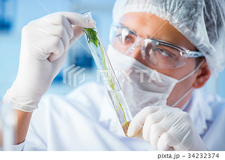 Biotechnology concept with scientist in lab 34232374