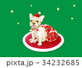 サンタのフレンチブルドック＿緑バック＿横イチ 34232685